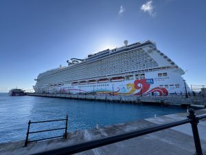 Norwegian Joy Review